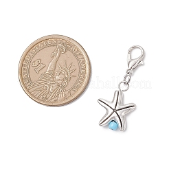 Подвесные украшения из океанического сплава&nbsp;HJEW-JM04114