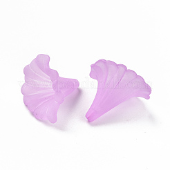 Прозрачные акриловые бусины&nbsp;X-BSF796-C08