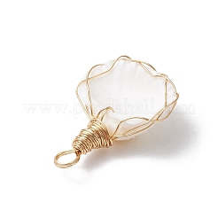 Подвески из натуральной ракушки&nbsp;PALLOY-JF03494