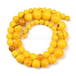 Colliers de perles dégradées en jade persan naturel&nbsp;GG-CBA2AE1-A05-B
