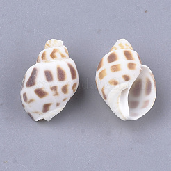 Perle di conchiglia a spirale&nbsp;X-SSHEL-S258-61