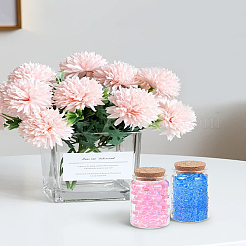 2 шт. пустая стеклянная бутылка&nbsp;AJEW-LP0010-80