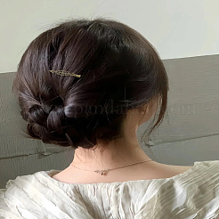 10 шт. 5 стиля плоские заколки для волос из железа и латуни с фурнитурой из кожи аллигатора&nbsp;MAK-LP0001-13