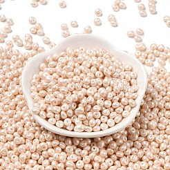 6/0 perles de rocaille en verre&nbsp;X1-SEED-L011-08A-24
