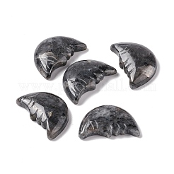 Cabochon di larvikite naturale&nbsp;G-E579-02J