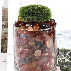 Окрашенные и нагретые натуральные бусины из агата&nbsp;X1-G-J402-03B-01