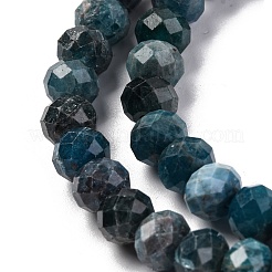 Perline apatite naturale fili&nbsp;G-K380-A22-01