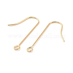 Crochets de boucles d'oreilles en acier inoxydable chirurgical 316&nbsp;X-STAS-E027-02B-G