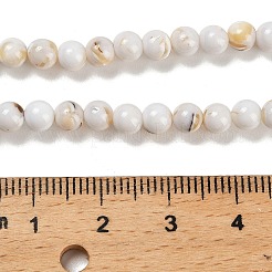 Fili di perle di pietra sintetica e conchiglia trochus assemblati&nbsp;G-B128-08A-01