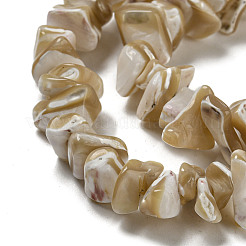 Fili di perline di conchiglia trochus naturale&nbsp;SSHEL-H072-09