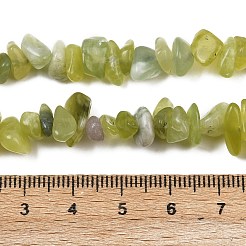 Бусины из натурального нефрита&nbsp;G-B160-B02