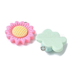 20шт 20 стиля непрозрачные подвески из смолы&nbsp;RESI-V001-02