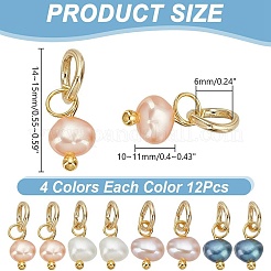 48 шт. двухцветные перламутровые двухсторонние полированные подвески&nbsp;PALLOY-AR00005