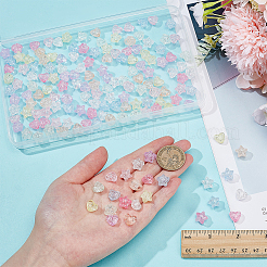 160шт. 16 стиля прозрачных акриловых бусин с эффектом кракле&nbsp;OACR-PH0004-57