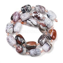 Naturelles feu crépitent agate perles brins&nbsp;G-K393-G04-12x16