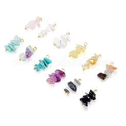 24 pièces 12 styles pendentifs de puces de pierres précieuses mélangées&nbsp;PALLOY-TAC0166