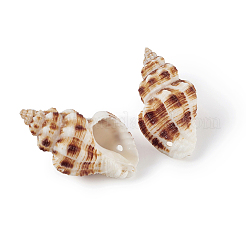 Спиральные подвески оболочки&nbsp;SSHEL-TA0001-02