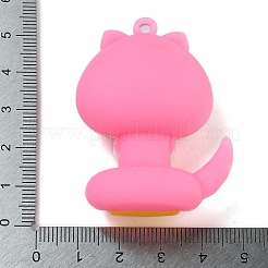PVC-Anhänger&nbsp;FIND-R001-01A