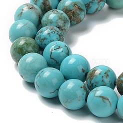 Fili di perline howlite naturale&nbsp;G-E604-B03-A
