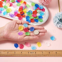 500 шт. подвески из прозрачного матового акрила 10 цветов&nbsp;MACR-YS0001-03