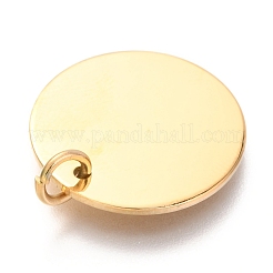 Breloques en acier inoxydable 304 plaquées par ions (IP)&nbsp;LS-EJEW-L238-03E-G