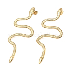 Pendientes de acero inoxidable 304 para mujer&nbsp;EJEW-K332-01G