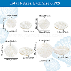 24 шт. 4 стиля резных подвесок из натуральных пресноводных ракушек&nbsp;BSHE-PH0001-48