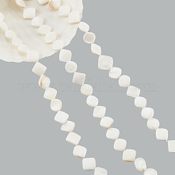 3 нить бусин из натуральных пресноводных ракушек&nbsp;SHEL-NB0001-46