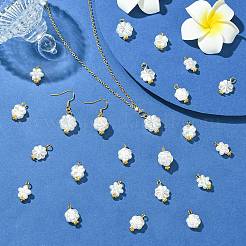 70 шт. 7 стиля акриловых подвесок с имитацией жемчуга&nbsp;PALLOY-CJ00172