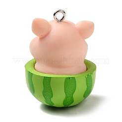 Подвески из непрозрачной смолы&nbsp;RESI-P030-04P