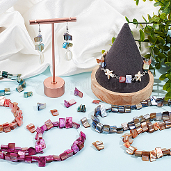 5 нить 5 цвета окрашенных натуральных пресноводных ракушек нити&nbsp;SHEL-BBC0001-13