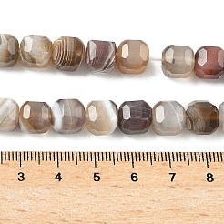 Природные Ботсвана агат бисер нитей&nbsp;G-C267-A07