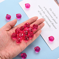 Прозрачные акриловые подвески&nbsp;TACR-T024-05B-906