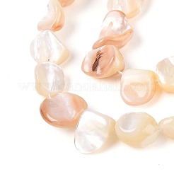 Нити бусин из натуральных морских раковин&nbsp;SSHEL-N041-02A