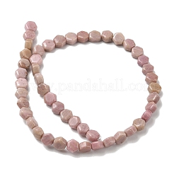 Natur Rhodonit Perlen Stränge&nbsp;G-G463-A11-8x9mm