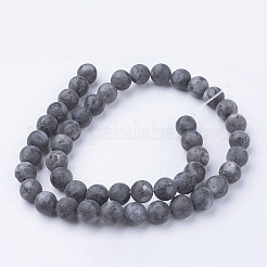 Натуральные черные бусины из ларвикита&nbsp;G-G735-57F-8mm