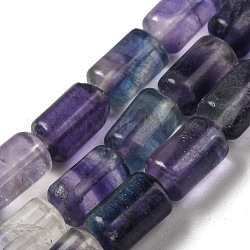 Chapelets de perles en fluorite naturel, colonne, 10x6mm, Trou: 0.8mm, Environ 40 pcs/chapelet, 15.67'' (39.8 cm)