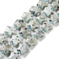 Jaspe de sésame naturel / perles de jaspe kiwi, avec des perles de rocaille, étoiles du nord, 14~15.5x15~16x6.5~7mm, Trou: 1mm, Environ 24~25 pcs/chapelet, 15.55''~15.95'' (39.5~40.5 cm)