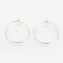 Brass Hoop Earrings, Ring, Light Gold, 24 Gauge, 24x20x0.5mm