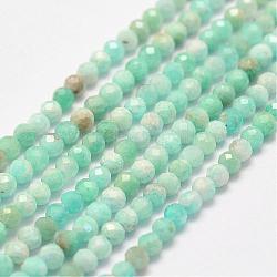 Amazonite naturale fili di perle, sfaccettato, tondo, 2.5~3mm, Foro: 1 mm, circa 146pcs/filo, 15.3 pollice