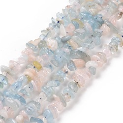 Morganite naturelle perles de puce brins, 5~14x4~10mm, Trou: 1mm, environ 15.5 pouce ~ 16.1 pouces