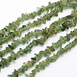 Чипсы природные зеленые пряди бусины апатит, 3~8x3~12x3~5 мм, отверстие : 1 мм, около 16 дюйма
