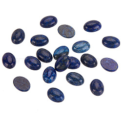 Cabochons à dos plat en lapis-lazuli naturel pandahall elite, teinte, demi-ovale, 18x13mm, environ 20 pcs / boîte