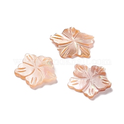 Sea Shell Cabochons, Flower, Sandy Brown, 13x14x1.5mm
