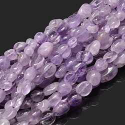 Brins de perles de pépites d'améthyste lumière naturelle, pierre roulée, 5~10x6~7x3~7mm, Trou: 1mm, environ 14.9 pouce ~ 15.7 pouces