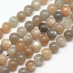 Natural Multi-Moonstone Beads Strands, Round, 8mm, Hole: 1mm, about 48pcs/strand, 15.7 inch