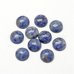 Cabochons de jaspe tache bleue naturelle, demi-rond / dôme, 16x6mm