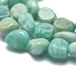 Chapelets de perles en amazonite naturelle, pierre roulée, pépites, 10~11x7~8x5~6mm, Trou: 0.8mm, Environ 37 pcs/chapelet, 15.75 pouce (40 cm)