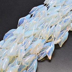 Opalite Bead Strands, Calla Lily, 32~38x14~18x11mm, Hole: 1mm, about 10pcs/strand, 16 inch