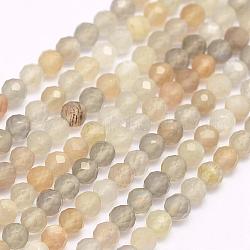Brins de perles naturelles multi-moonstonee, facette, ronde, 3mm, Trou: 0.5mm, Environ 132 pcs/chapelet, 15.7 pouce (40 cm)